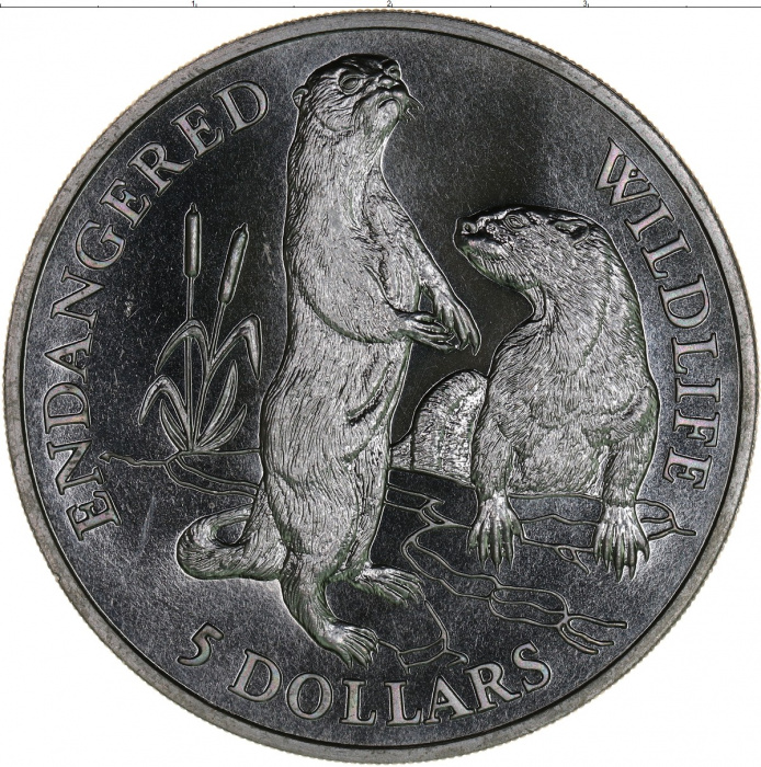 (1991) Монета Острова Кука 1991 год 5 долларов &quot;Выдры&quot;  Никель  PROOF